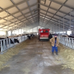 Kazachstan, DFP 750 cows 