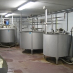 Veal production