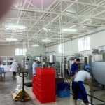 Узбекистан, молокопереробний завод на 10 000 літрів/день